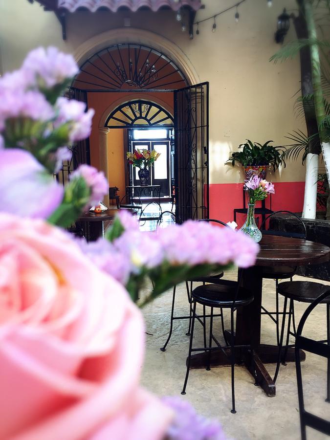 Casa Catrina&Diego Hotel เมริดา ภายนอก รูปภาพ